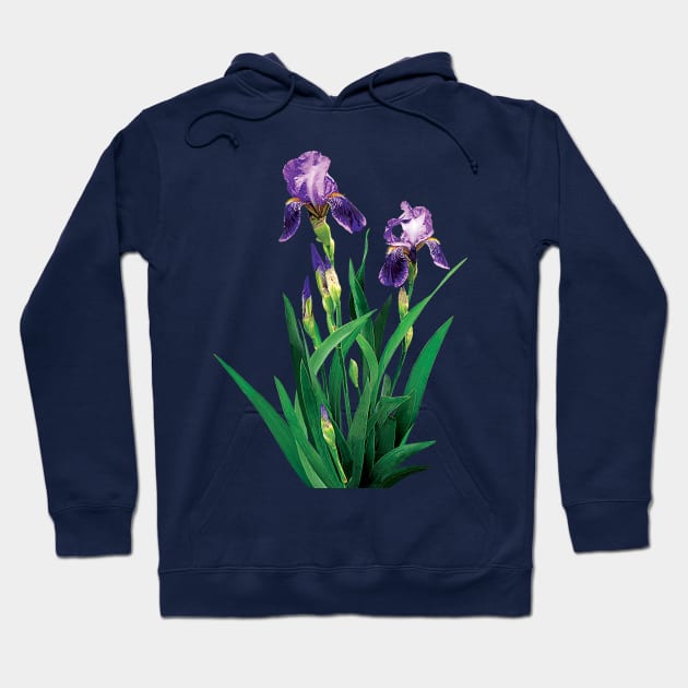 Two Purple Irises Hoodie by SusanSavad